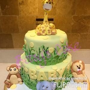 Meet your Posher, Betsy